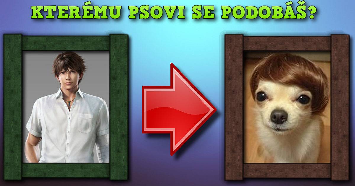 Kterému psovi se nejvíce podobáš?