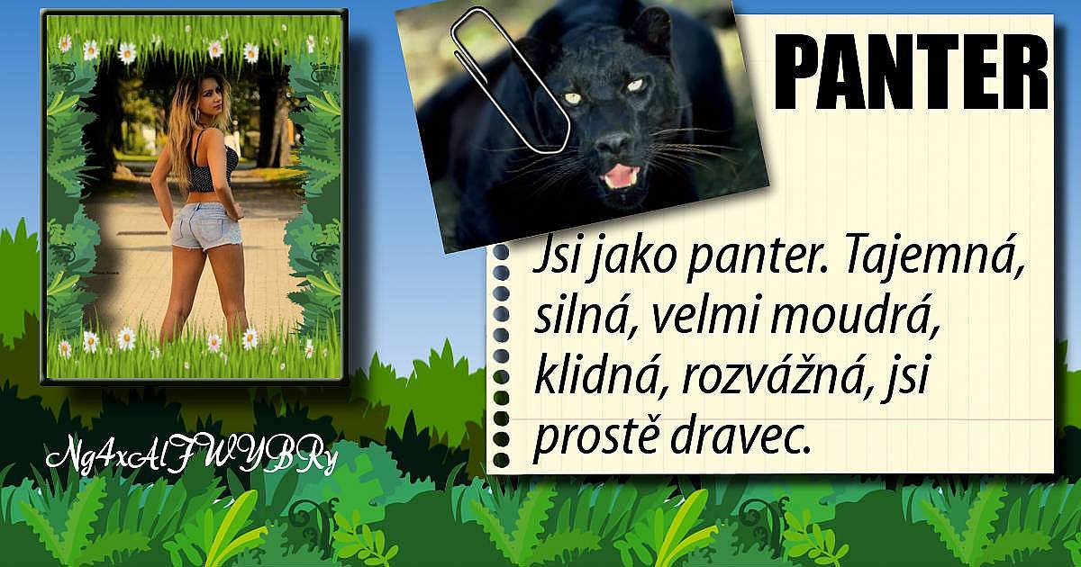 Jaké zvíře tě vystihuje?