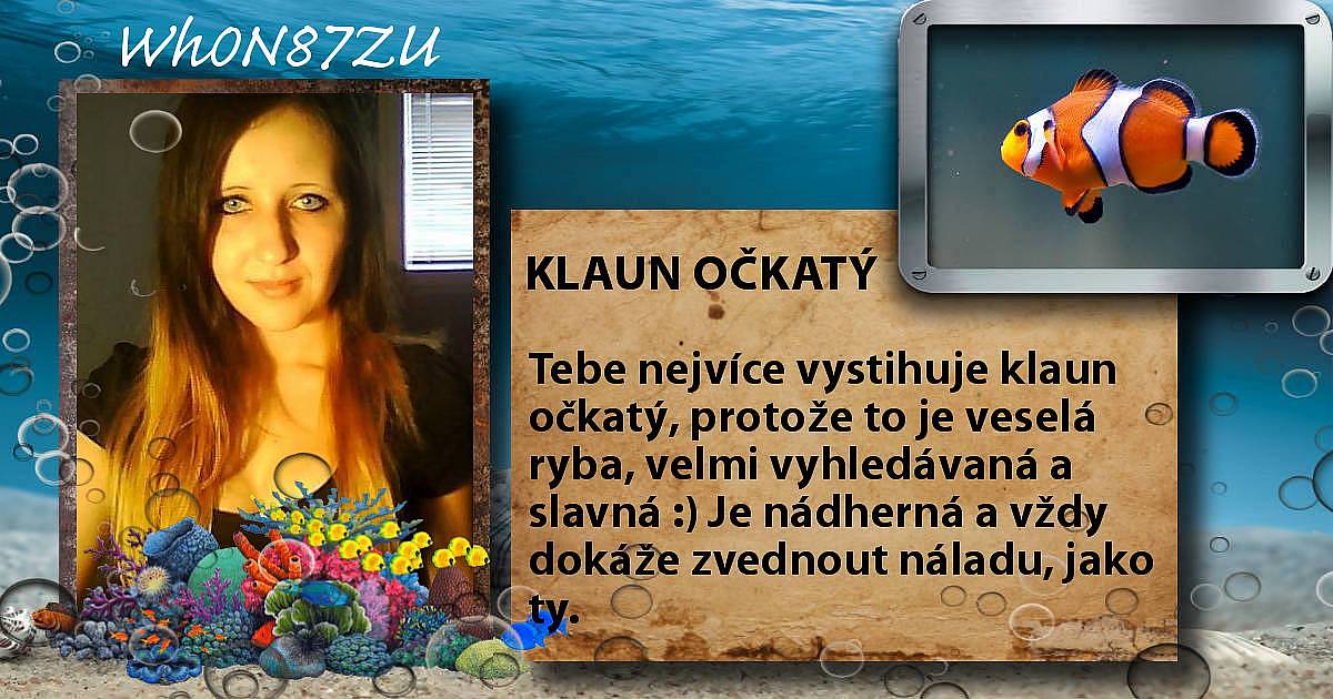Jaký mořský živočich tě vystihuje?