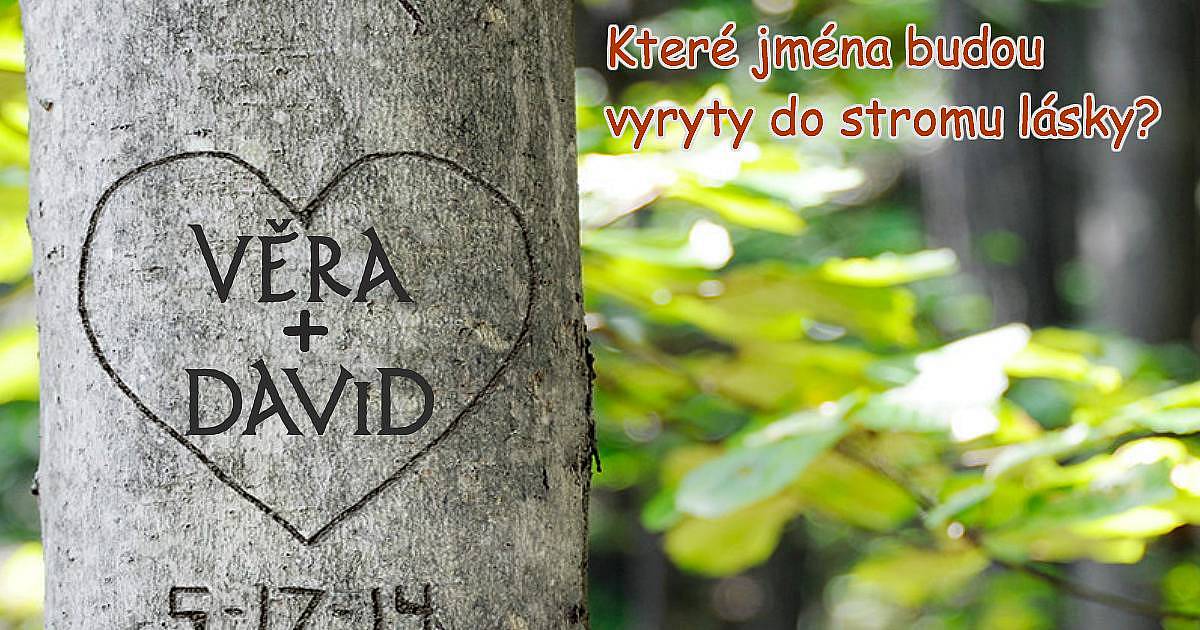 Které jména budou vyryty do stromu lásky?