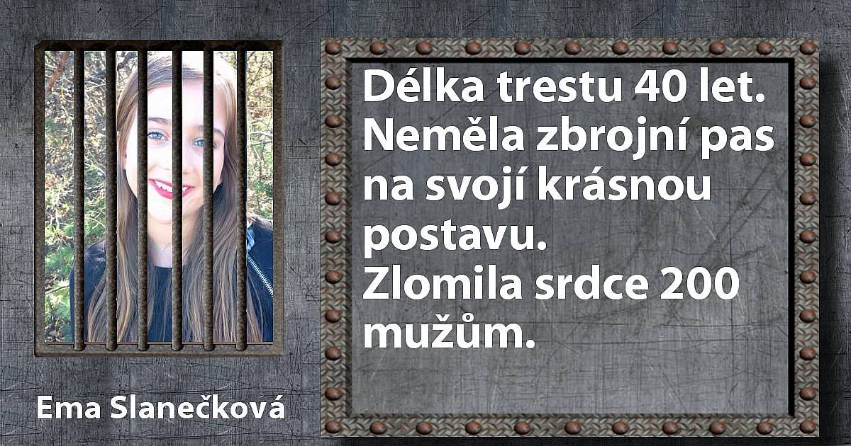 Jaký trestný čin jsi spáchal?