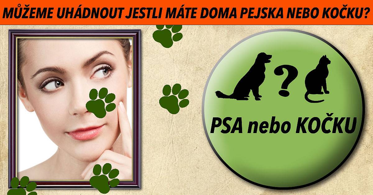 Můžeme uhádnout jestli máte doma psa nebo kočku?