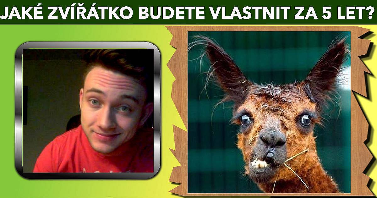 Jaké zvíře budete vlastnit za 5 let?