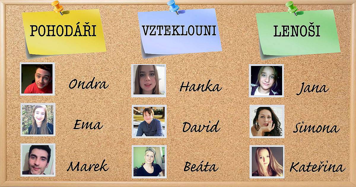 Do jakých skupin byste se rozdělili?