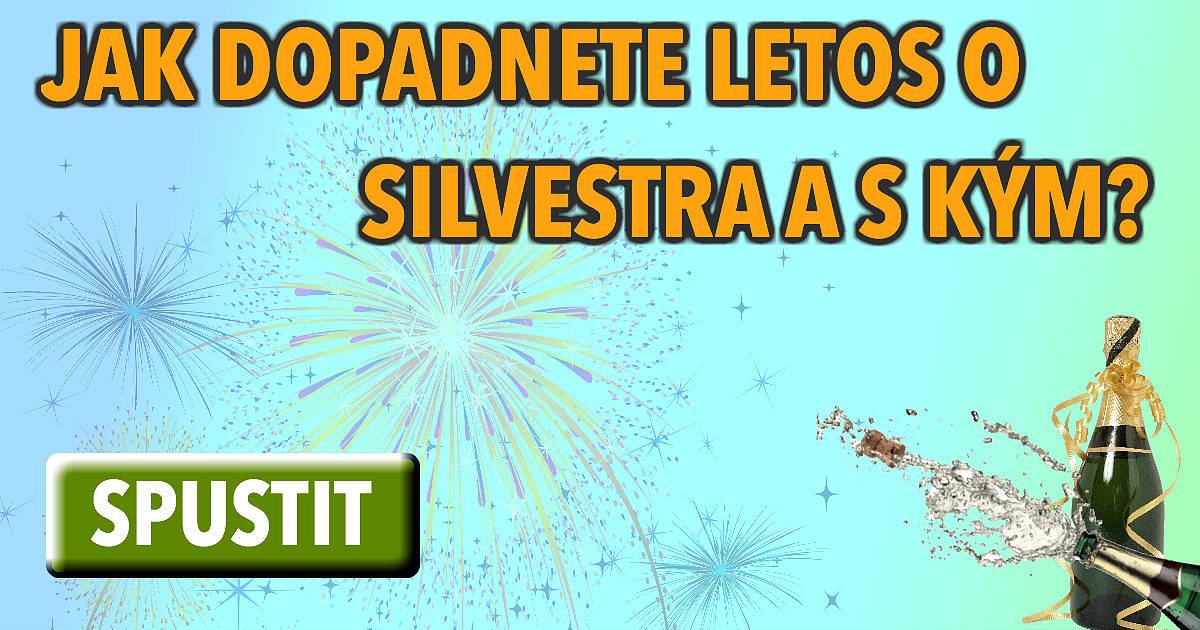 Jak dopadnete o silvestra a s kým?
