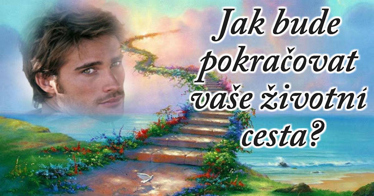 Jak bude pokračovat vaše životní cesta?