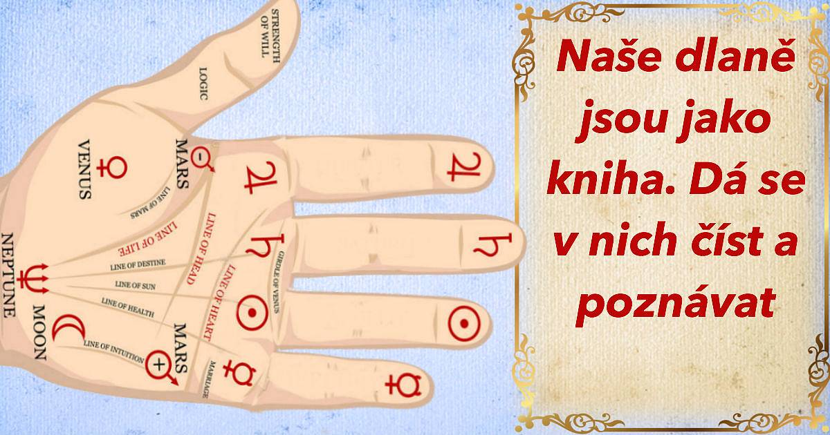 Naše dlaně jsou jako kniha. Dá se v nich číst a poznávat.