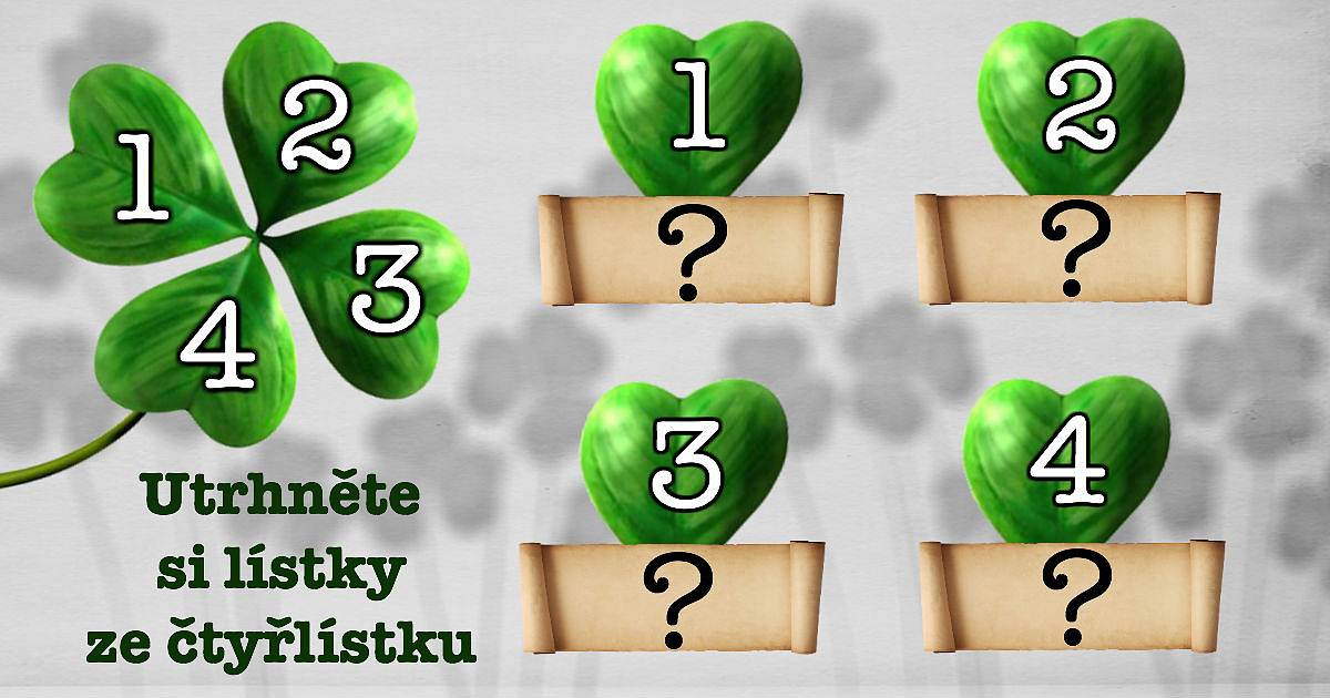 Utrhněte si lístky ze čtyřlístku. Co vám přinese? Kolik štěstí vás čeká?