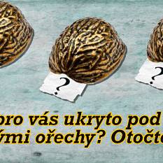 Co je pro vás ukryto pod třemi zlatými ořechy? Otočte je!